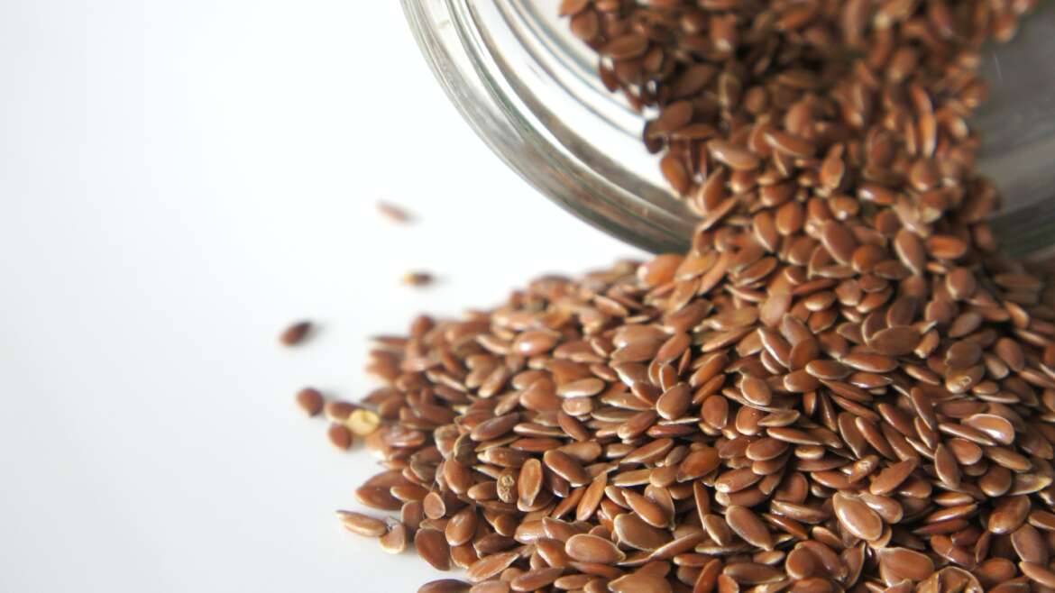 Flax Seeds