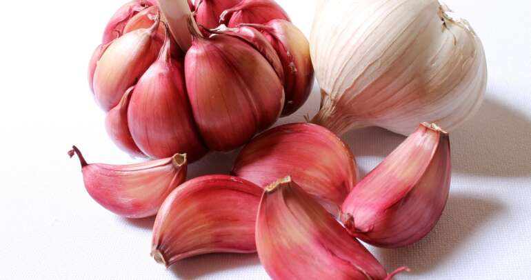 The Amazing Benefits of Garlic: Nature’s Gift to Health and Flavor